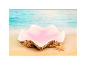 Fundo Fotográfico 2,20 x 1,50 - Infantil Praia Concha 007