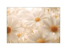 Fundo Fotográfico 2,20 x 1,50 - Margaridas Realistas Clean 164 Fundo Fotográfico 2,20 x 1,50 - Margaridas Realistas Clean 164