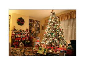 Fundo Fotográfico 2,20 x 1,50 - Natal Tapete Árvore 052