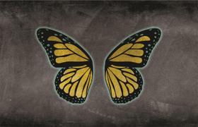 Fundo Fotográfico Em Tecido Asas Borboleta 2,20X1,50