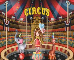 Fundo Fotográfico Em Tecido Circus 2,80X1,50.