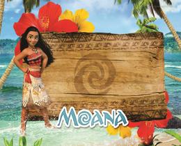 Fundo Fotográfico Em Tecido Moana 2,80X1,50.