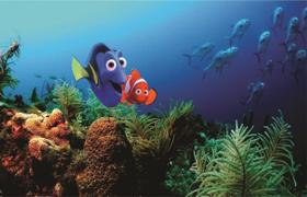 Fundo Fotográfico Em Tecido Nemo Marlin E Dory 2,80X1,50