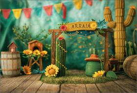 Fundo Fotográfico Festa Junina Cenário Tecido 1,20 x 1,70m