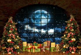 Fundo Fotográfico Natal Cenário 1,20 x 1,70m