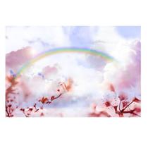 Fundo Fotográfico Newborn Arco Íris 2,6X1,7 Ffm-593