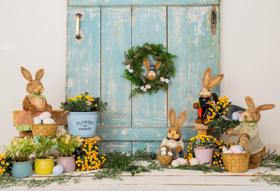 Fundo Fotográfico Páscoa Tecido 1,50 x 2,20m Fundo Fotográfico Páscoa Tecido 1,50 x 2,20m