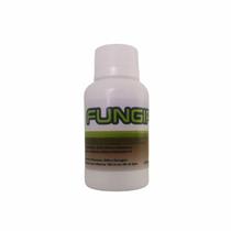 Fungiplant portomaggiore 1 un