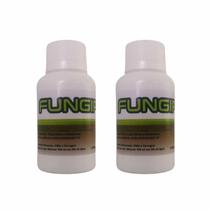 Fungiplant portomaggiore 2 un