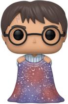 Funko Pop! Harry Potter: Harry Potter - Harry com Capa de Invisibilidade, Multicolor