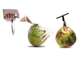 Fura Coco Abre Coco Profissional Aço Inox Cabo furador