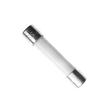 Fúsivel 10A 250V Atuação Rápida Para Gerador Kohler