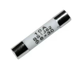 Fusível Cerâmico 10A para Micro-ondas - Ref.742