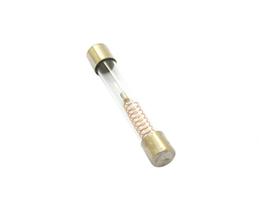Fusível de Vidro Alta Tensão com Mola Para Microondas 6x40mm 5kv - 1A