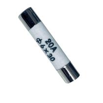 Fusivel Microondas 20a Bivolt 250v Cerâmico