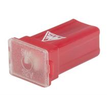 Fusivel Midi Femea Vermelho 50A Fusivel Midi Femea Vermelho 50A