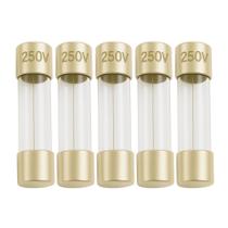 Fusível Techman 315 mA 250 V de Ação Rápida 5x20 mm, Pacote com 5 Fusível Techman 315 mA 250 V de Ação Rápida 5x20 mm, Pacote com 5