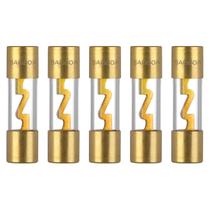 Fusível VEXUNGA AGU 60A Vidro Banhado a Ouro 12V Pacote com 5 Fusível VEXUNGA AGU 60A Vidro Banhado a Ouro 12V Pacote com 5