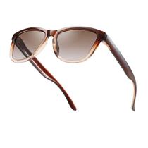 Gafas de sol Dollger polarizadas clásicas retro marrón para hombres y mujeres Gafas de sol Dollger polarizadas clásicas retro marrón para hombres y mujeres