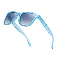Gafas de sol Dollger polarizadas UV400 clásicas retro azul/negro