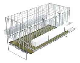 Gaiola 3 Divisórias Para Codorna Poedeira Pequena Contrera Completa Ovos Gaiola 3 Divisórias Para Codorna Poedeira Pequena Contrera Completa Ovos