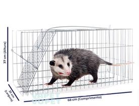 Gaiola Automática Roedores Pegar Saruês Gambás Com Isca Pega e Solta Répteis Gatos Animais até 6kg. Gaiola Automática Roedores Pegar Saruês Gambás Com Isca Pega e Solta Répteis Gatos Animais até 6kg.