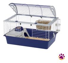 Gaiola Casita Para Roedores Coelhos Chinchilas Ratos Porquinho da Índia - 100 - Ferplast Gaiola Casita Para Roedores Coelhos Chinchilas Ratos Porquinho da Índia - 100 - Ferplast