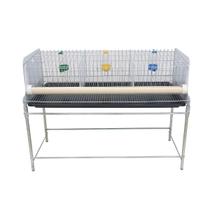 Gaiola Codorna Codornão gaia com base Gaiola Codorna Codornão gaia com base