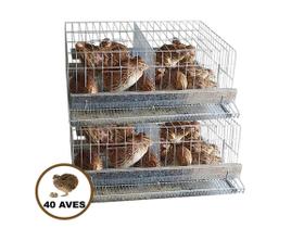 Gaiola Codorna Poedeira Japonesa Bateria 40 Aves - Kit 2 Pçs - Ddn Agropet'S - Baterias