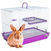 Gaiola Coelho Chinchila Porquinho Da India Com Andar Grande - 062 Gaiola Coelho Chinchila Porquinho Da India Com Andar Grande - 062