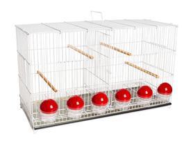 Gaiola Criadeira Para Canário Divisórias Com Suporte 6 Comedouros - atalaia Gaiola Criadeira Para Canário Divisórias Com Suporte 6 Comedouros - atalaia