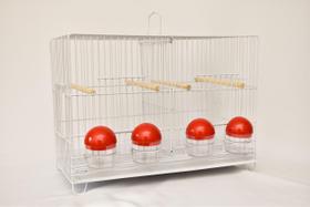 Gaiola Criadeira para Pássaros e Periquitos com Divisórias e Comedouro Vermelho Epóxi Branca Contrerapet Gaiola Criadeira para Pássaros e Periquitos com Divisórias e Comedouro Vermelho Epóxi Branca Contrerapet