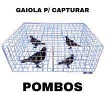 Gaiola de Captura de Pombos Controle Humanizado e Seguro de Aves Urbanas