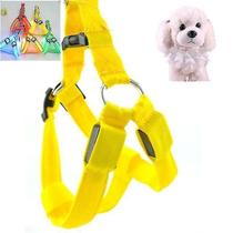 Gaiola de pássaro banhos de pássaros dupla face led luz pet arnês nylon gato cão cinta peitoral trela tamanho: l amarelo