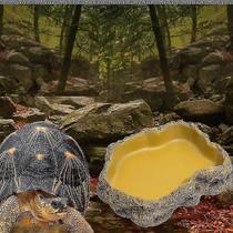 Gaiola de pássaros banhos de pássaros resina animais de estimação réptil placa de alimentação tigela lagarto tartaruga lagartixa tamanho de alimentação: s