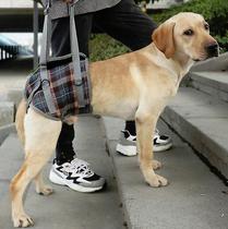 Gaiola de pássaros banhos de pássaros tiras de pernas de animais de estimação deficientes feridos cão idoso cinto auxiliar tamanho: estilo xl: perna traseira azul