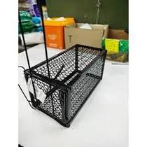 Gaiola Ferro Preta / Gaiola Chapa / Porta Isca Plastico Preta + Isca