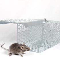 gaiola galvanizada armadilha com mola - ARTIFER