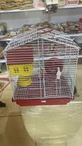 Gaiola hamster-3