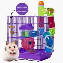Gaiola Hamster Grande Completa Hamster Topolino Anão Roedor - American Pets