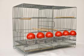 Gaiola para Criar Canário e Aves com 6 Comedouros Vermelho Zincada Prata Contrerapet Gaiola para Criar Canário e Aves com 6 Comedouros Vermelho Zincada Prata Contrerapet