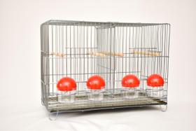 Gaiola para Criar Periquitos Australianos e Canários Cor Cinza Contrerapet Gaiola para Criar Periquitos Australianos e Canários Cor Cinza Contrerapet