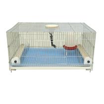 Gaiola para pintinhos Mini criadeira