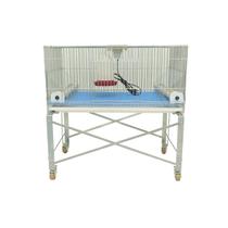 Gaiola para pintinhos mini criadeira Com base