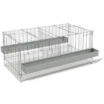 Gaiola Poedeira para Codorna Desmontável com Divisão