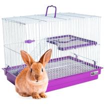 Gaiola Porquinho Da Índia Coelho Chinchila Grande 2 Andares - Jel Plast Gaiola Porquinho Da Índia Coelho Chinchila Grande 2 Andares - Jel Plast