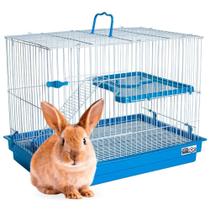 Gaiola Porquinho Da Índia Coelho Chinchila Grande 2 Andares - Jel Plast Gaiola Porquinho Da Índia Coelho Chinchila Grande 2 Andares - Jel Plast