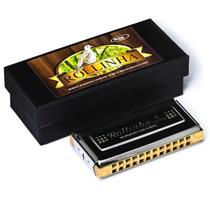 Gaita de Boca Rollinha 24 Vozes D-RÉ/G-SOL SHG Hering 9548 Gaita de Boca Rollinha 24 Vozes D-RÉ/G-SOL SHG Hering 9548