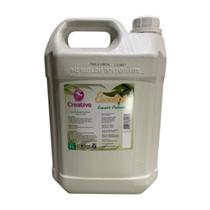Galão 5l Desinfetante Premium Cheiroso - Varias Fragrancias - Limpeza