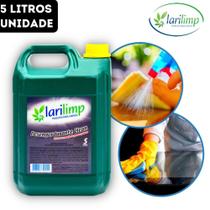 Galão Desengordurante Clean Remoção Graxas Gorduras Larilimp - 5 Litros 5L - Unidade